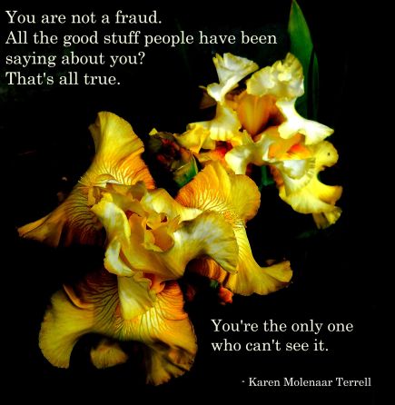 you are not a fraud