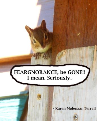 feargnorance