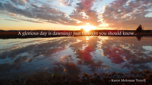 Bow sunset reflection