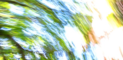 I accidentally snapped this picture as I was bringing my camera around.