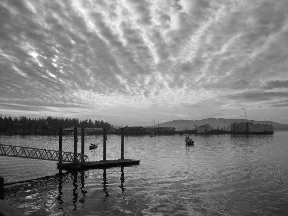 photo by Karen Molenaar Terrell