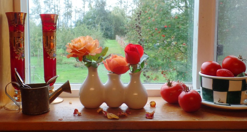 Windowsill (photo by Karen Molenaar Terrell)