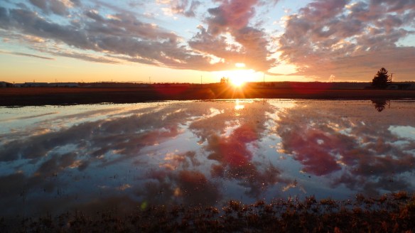 Bow Sunset Reflection (photo by Karen Molenaar Terrell)