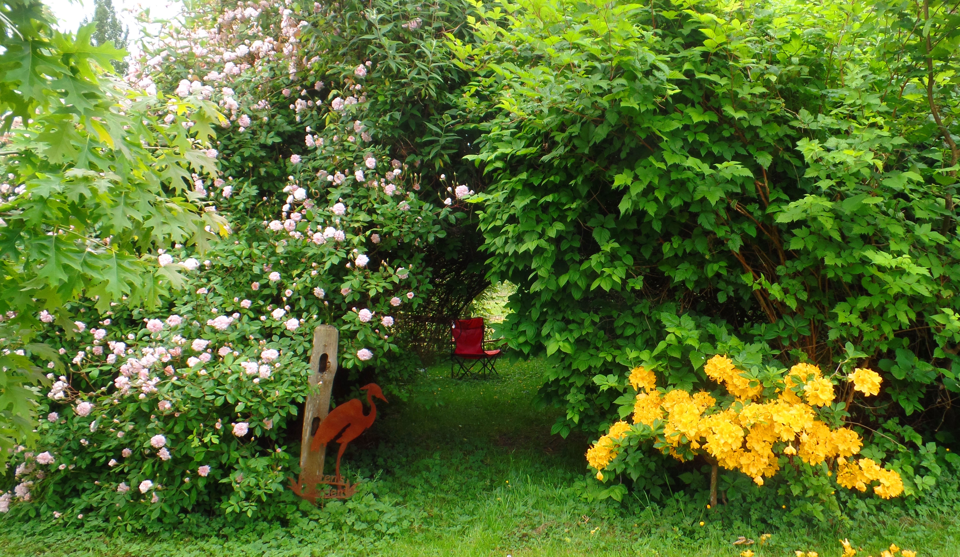 SAMSUNG CAMERA PICTURES