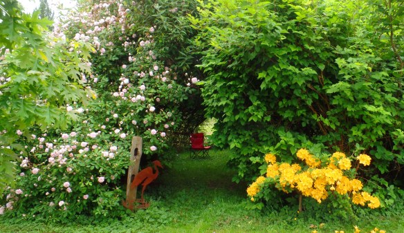 SAMSUNG CAMERA PICTURES