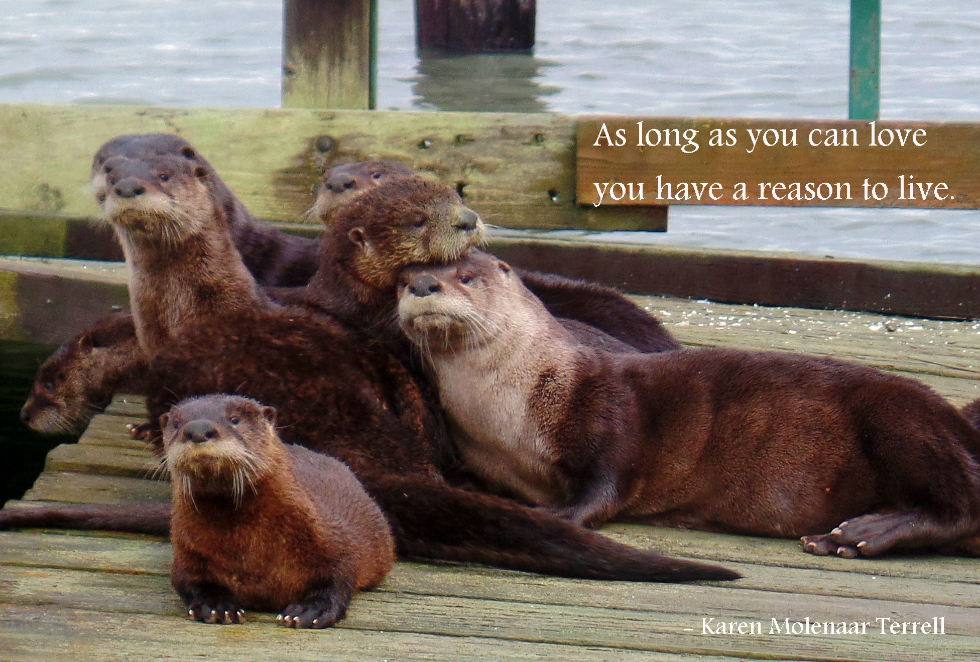 as long as you can love