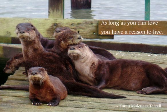 as long as you can love