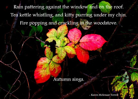 autumn-sings