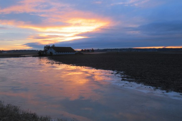 bow barn frozen pond sunset 3 this one