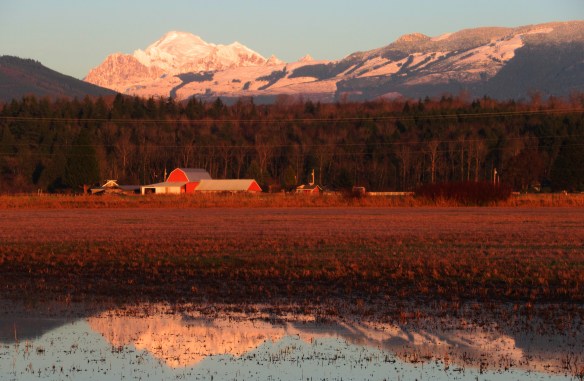 Mount Baker, a Red Barn, and a Reflection