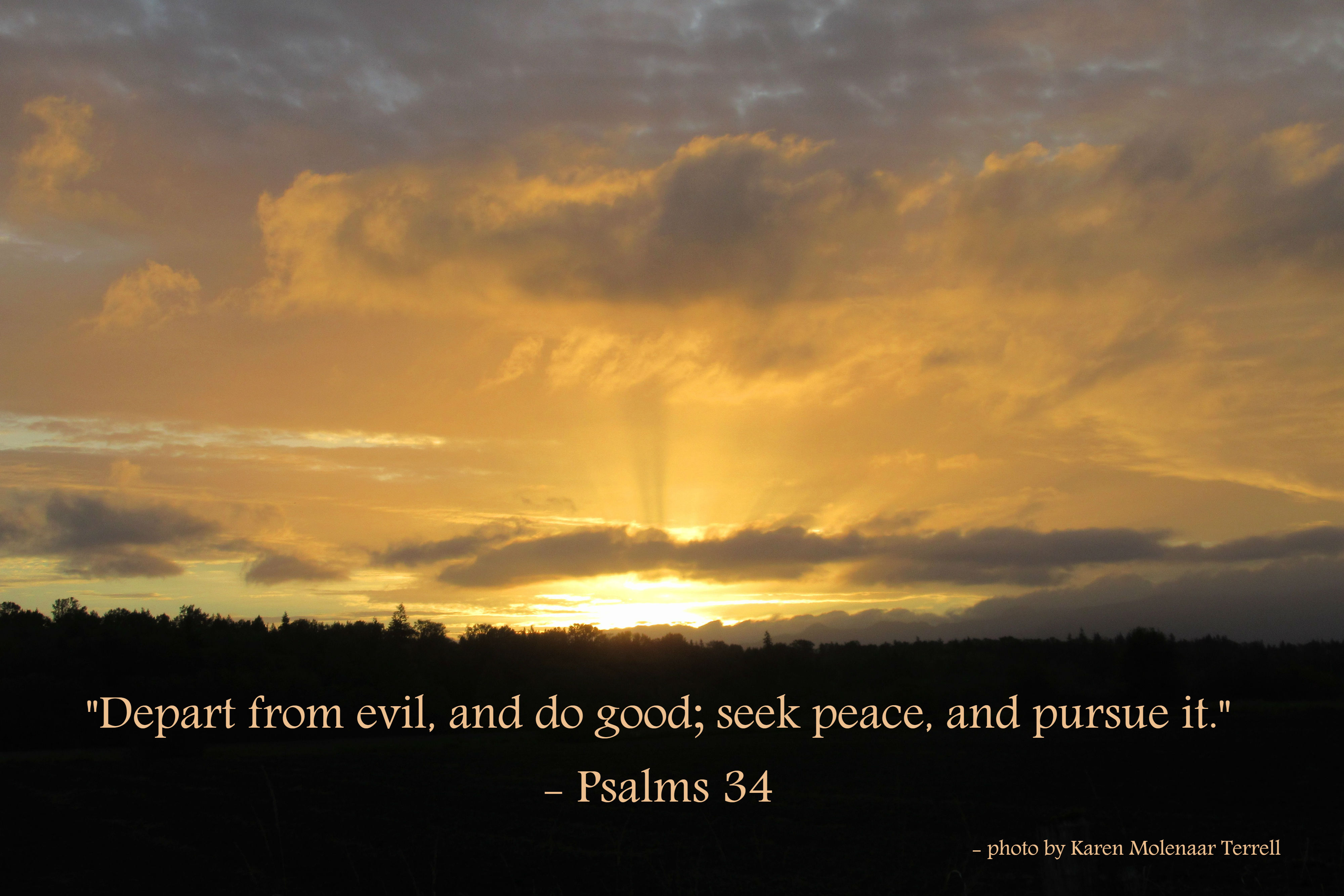 Seek Peace