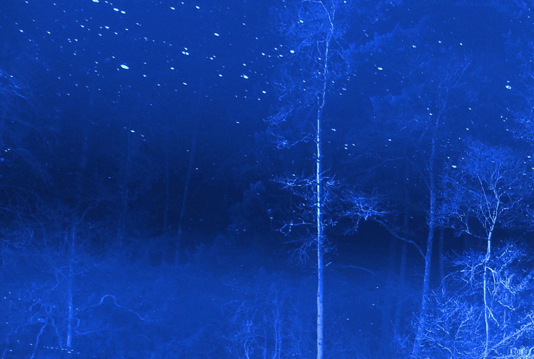 photo by Karen Molenaar Terrell