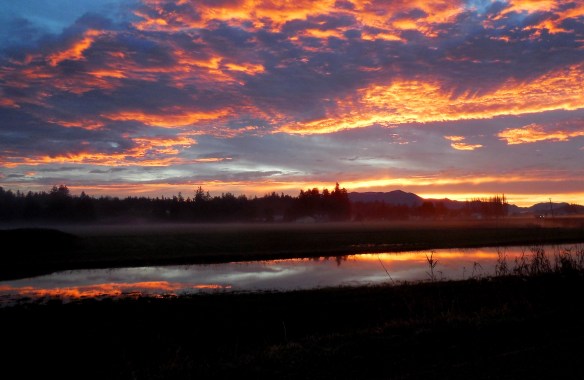 sunrise on the way to work (2) this one