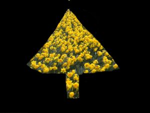 daffodil christmas tree