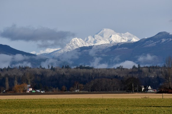 Mount Baker from Bow (photo by Karen Molenaar Terrell)