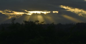 golden sunrise