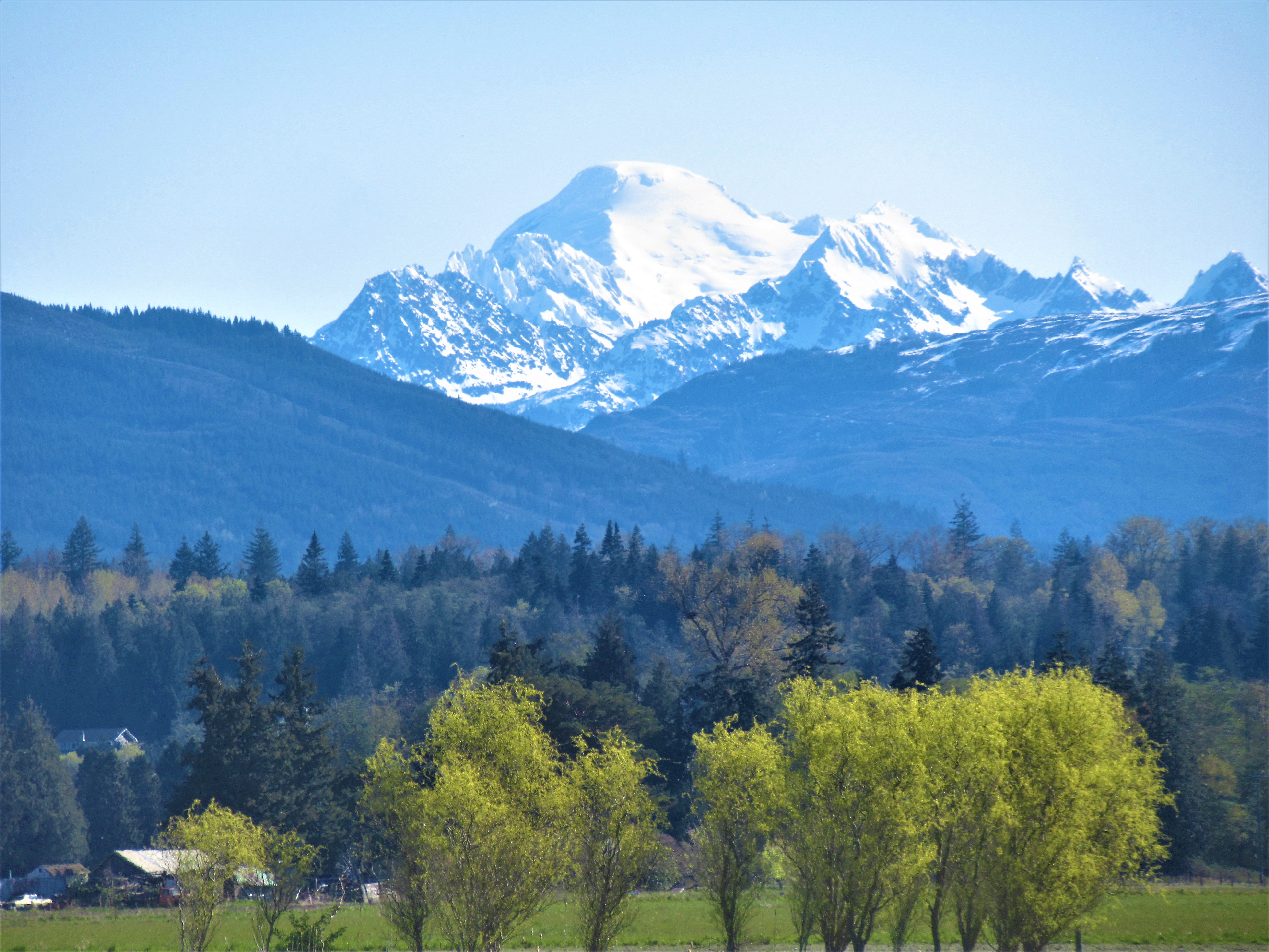 mount baker this one (2)