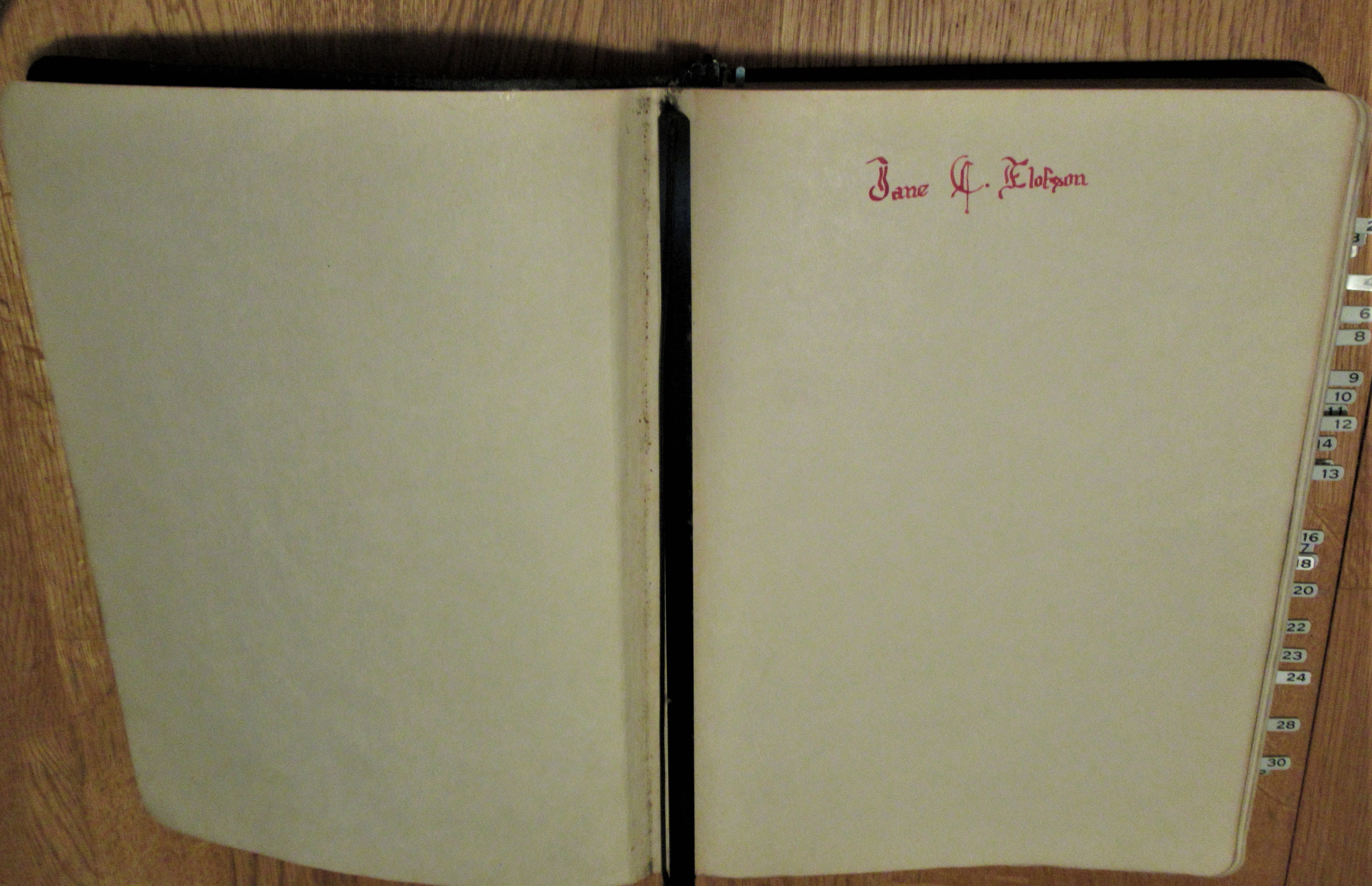 Jane Elofson signature